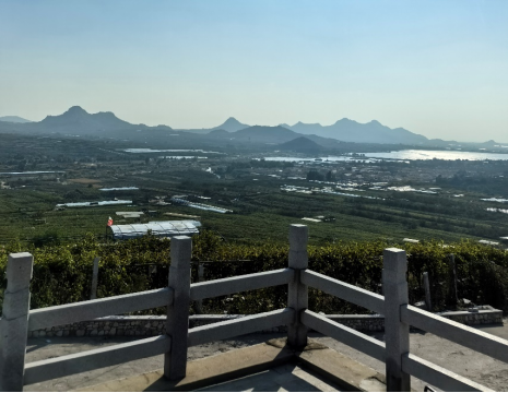 http://www.bj-servicedapartments.com平度大澤山葡萄園引進(jìn)萊恩德土壤肥料檢測(cè)儀， 輕松掌握土壤營(yíng)養(yǎng)